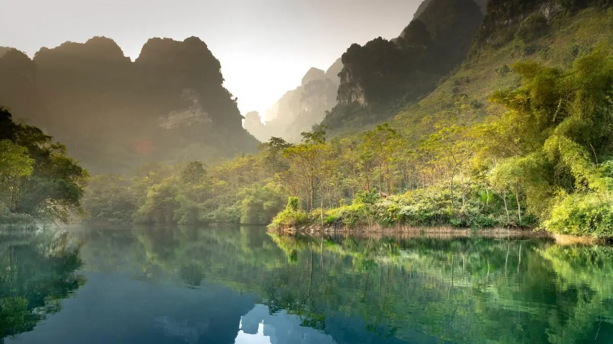 智能化网络化高端